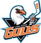DS Action Hockey Night with the San Diego Gulls